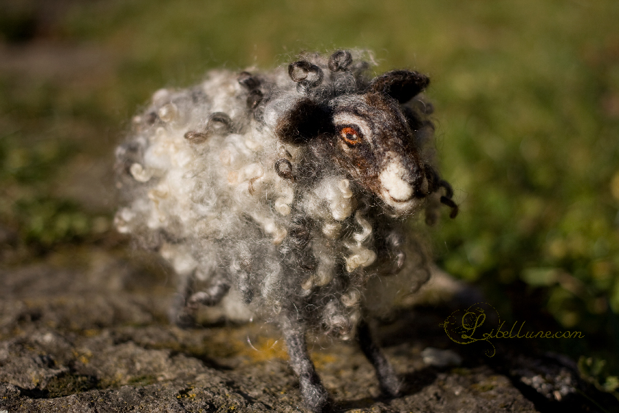 Mouton en laine feutrée
