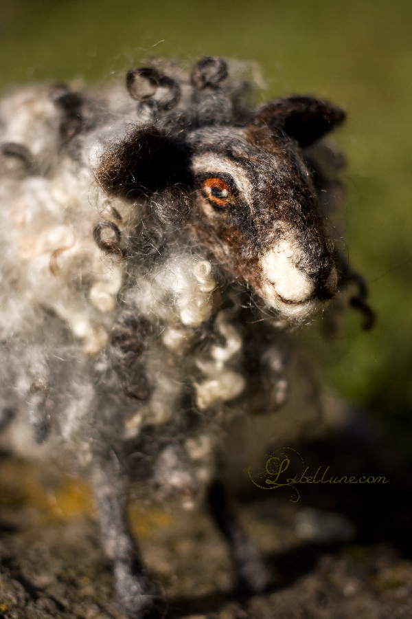 Mouton en laine feutrée